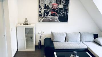 TV, video games, books, video library