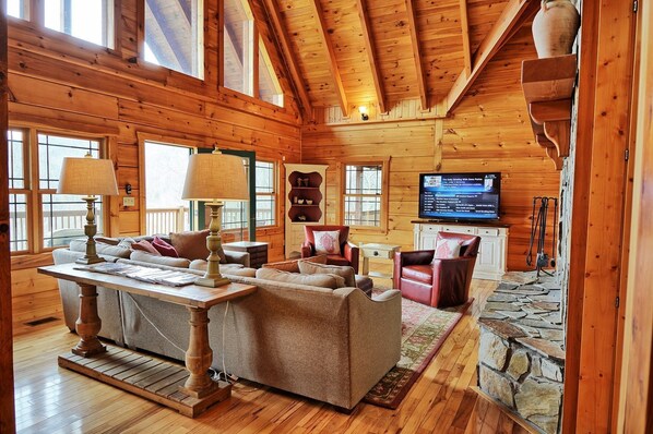 TV, fireplace, video games, DVD player