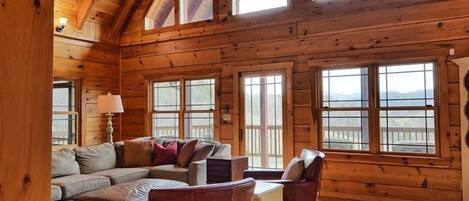 TV, fireplace, video games, DVD player