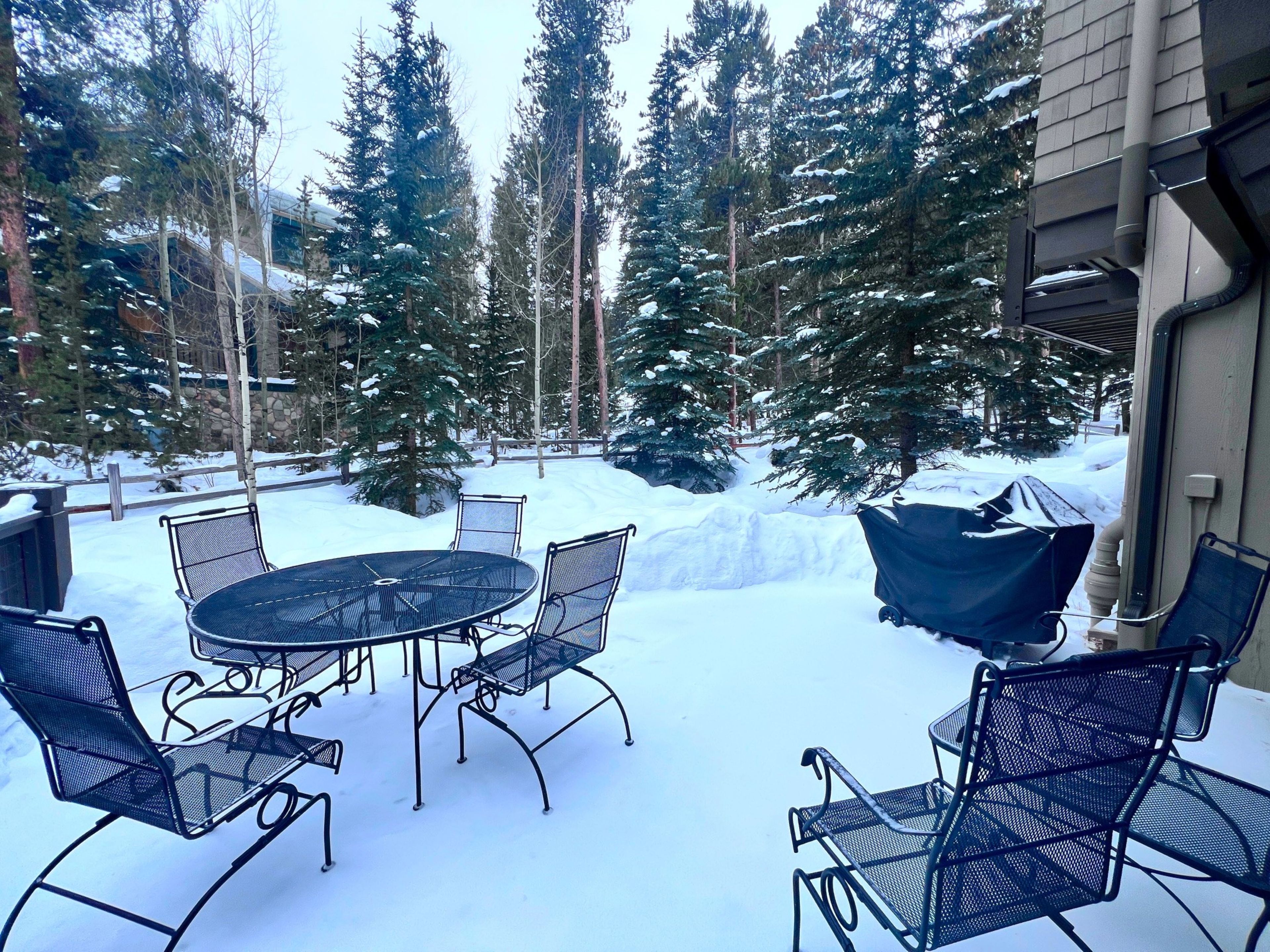 A snow-covered patio with a round table and chairs, surrounded by tall evergreen trees.