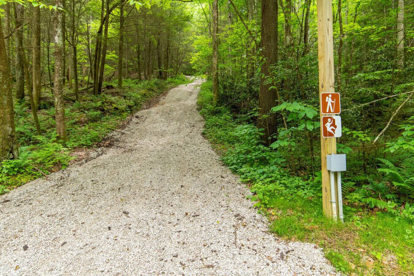 Un sentiero sterrato in una zona boschiva, con segnaletica per un percorso pedonale.
