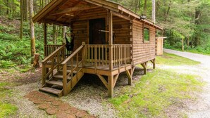 Una cabaña de madera con porche y escalones, rodeada de un bosque.