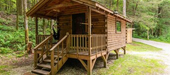 WiFi & Minimalist - Cozy Creek -Red River Gorge KY