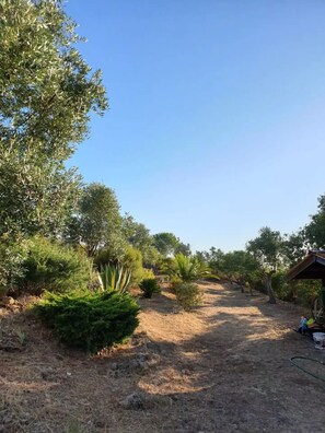 Property grounds - Mill in the heart of nature with swimming pool, close to Lisbon and the beach (Palmela)