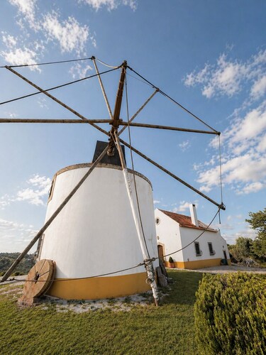 Charming windmill between nature and sea