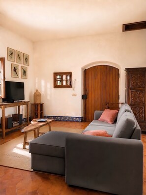 TV, fireplace, DVD player, books