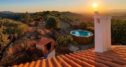 Charming windmill between nature and sea