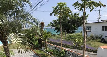 101 okinawa