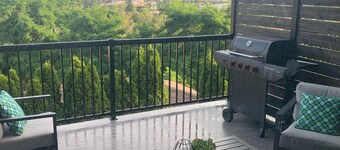 Beautiful suite in great neighbourhood, modern finishes and steps to KVR trail.