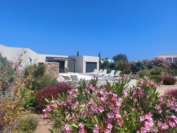A modern outdoor lounge area with sun loungers and a covered seating area, surrounded by diverse garden plants and flowers.