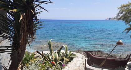 Frelma Casa Residenz