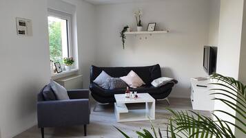 Fernseher, DVD-Player