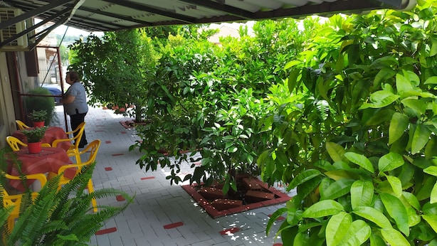 A covered walkway with potted plants and a table with chairs.