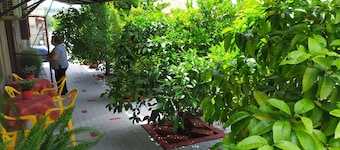 Maison des amis -- 4 season guest house