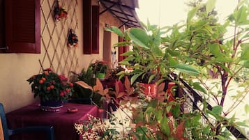 Opções para refeição ao ar livre