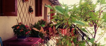 Maison des amis -- 4 season guest house