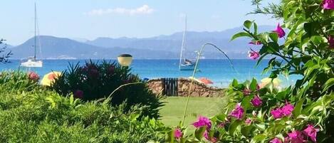 Àrea exterior de l'allotjament