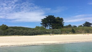 Ein Strand mit klarem türkisblauem Wasser, einem sandigen Ufer und einem dichten Wald im Hintergrund.