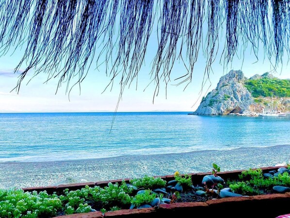Free beach shuttle, sun-loungers, beach umbrellas