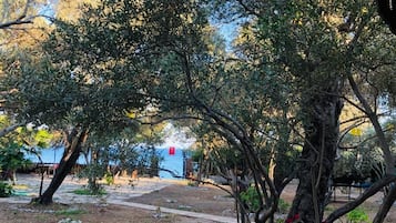 Vista desde la habitación