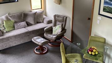 Smart TV, chimenea, reproductor de DVD, libros