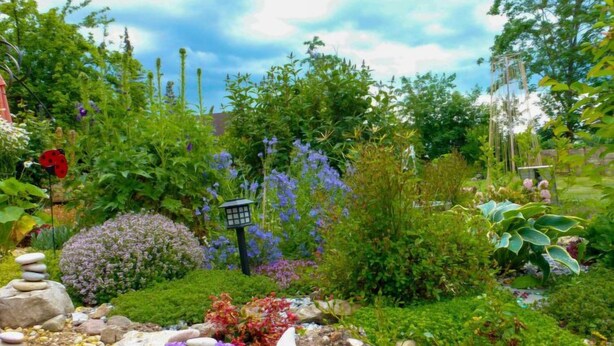 Un jardín con diversas plantas, un farol de piedra y una estatua de gnomo.