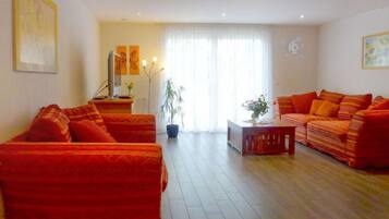 Télévision, cheminée, espaces bureaux