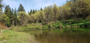 Unclassified image, 3 of 11, button - A Cabin in the Woods (Chehalis)