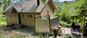 A Cabin in the Woods