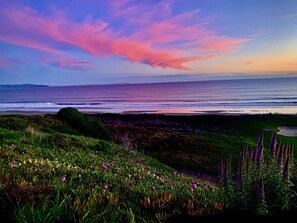 Liggestole, badehåndklæder