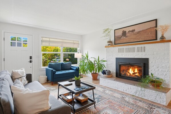 Smart-TV, Kamin