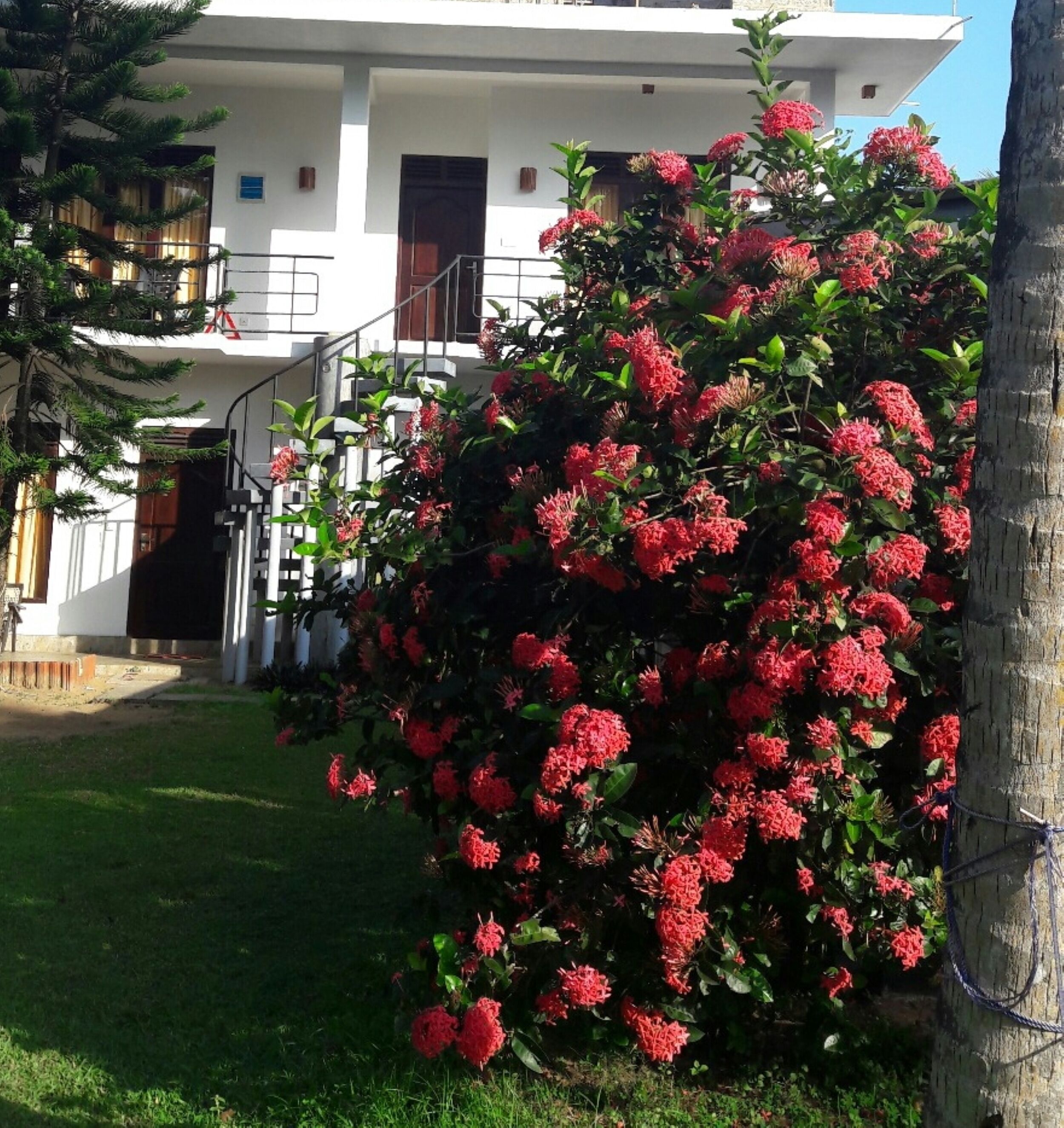 Façade de l’hébergement