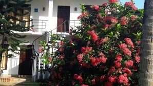 Un bâtiment à la façade blanche, avec un escalier et, au premier plan, un arbuste luxuriant aux fleurs rouges.