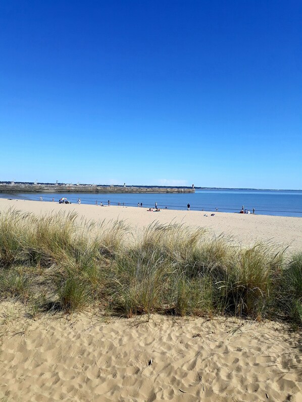 Nära stranden