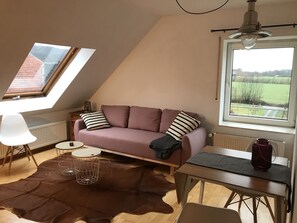 电视、DVD 播放器、乒乓球、立体声音响