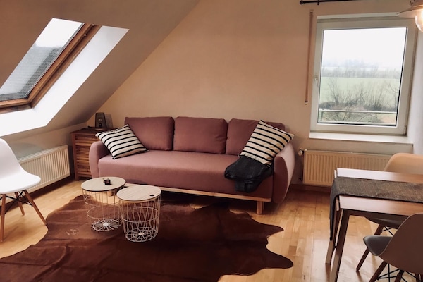 TV, DVD player, ping pong, stereo