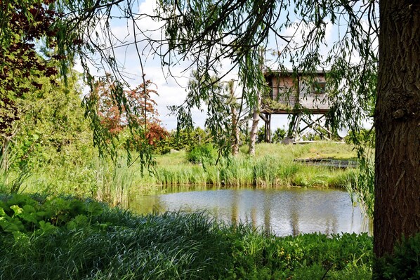 Overnatningsstedets område