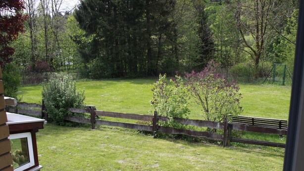 Une vue d’une cour verdoyante avec une clôture en bois et des arbres.