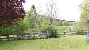 A grassy field with a wooden fence and trees in the background.