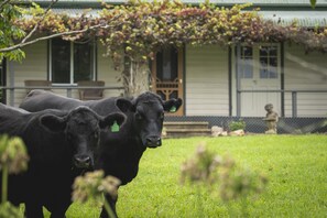 Property grounds - Be amongst nature in the 1890s farmhouse - a time you will never forget. (Tugrabakh)
