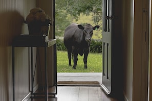 Interior - Be amongst nature in the 1890s farmhouse - a time you will never forget. (Tugrabakh)