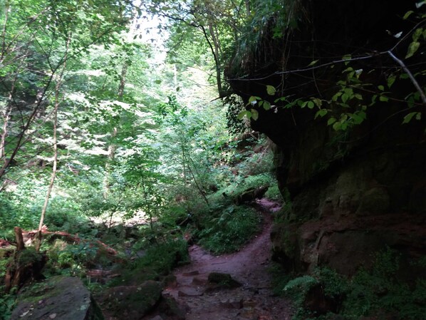 Unclassified image, 1 of 26, button