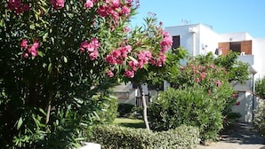 En have med lyserøde blomster og en hvid bygning i baggrunden.