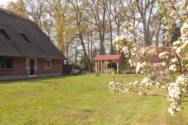 FeWo-Eingang und FeWo-Terrasse