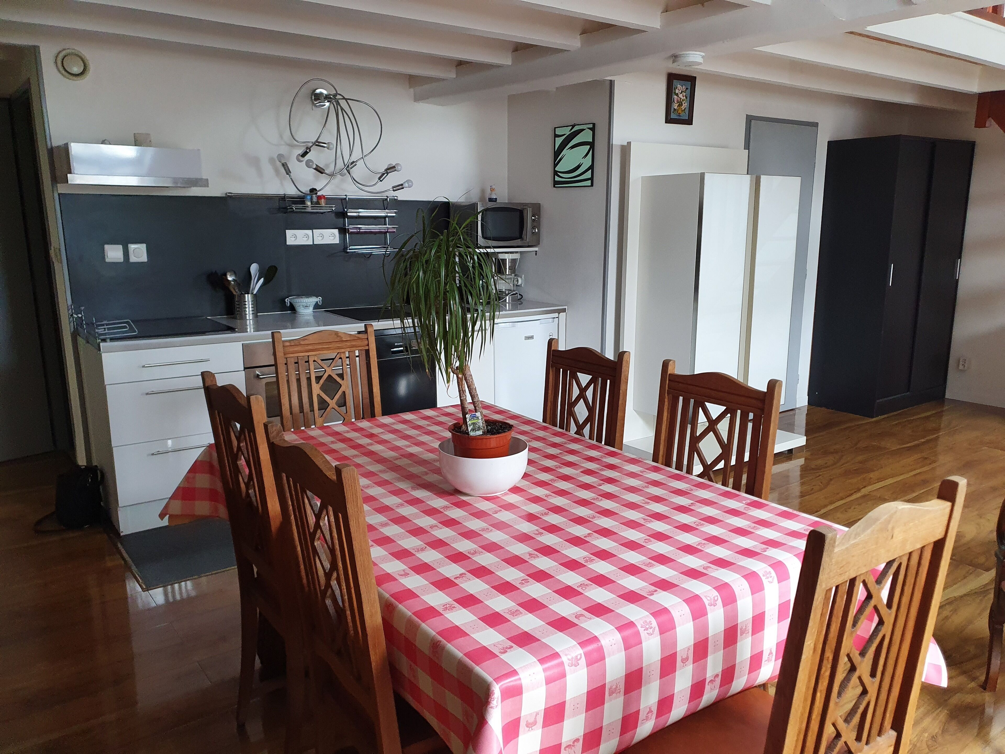 A compact kitchen with modern appliances, a dining area with a checkered tablecloth, and a potted plant.