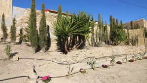Un jardin avec différentes sortes de plantes et un mur en pierre.