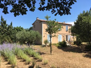 Exterior - Charming property with SWIMMING POOL in the Luberon (Saint-Saturnin-lès-Apt)