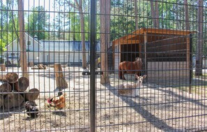 Terrein van de accommodatie