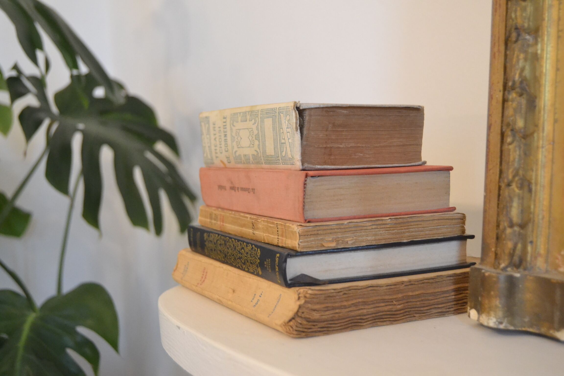 A stack of books on a white shelf.