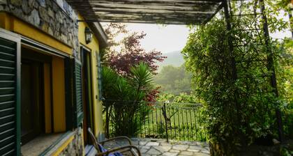 THE HOUSE IN THE WOODS, a corner of paradise a stone's throw from the sea